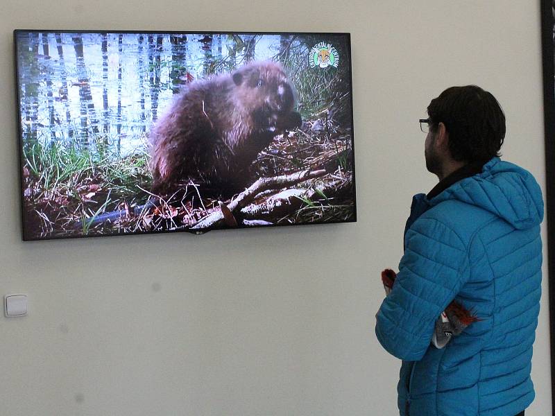 Otevření nových expozic v železnorudském environmentálním centru