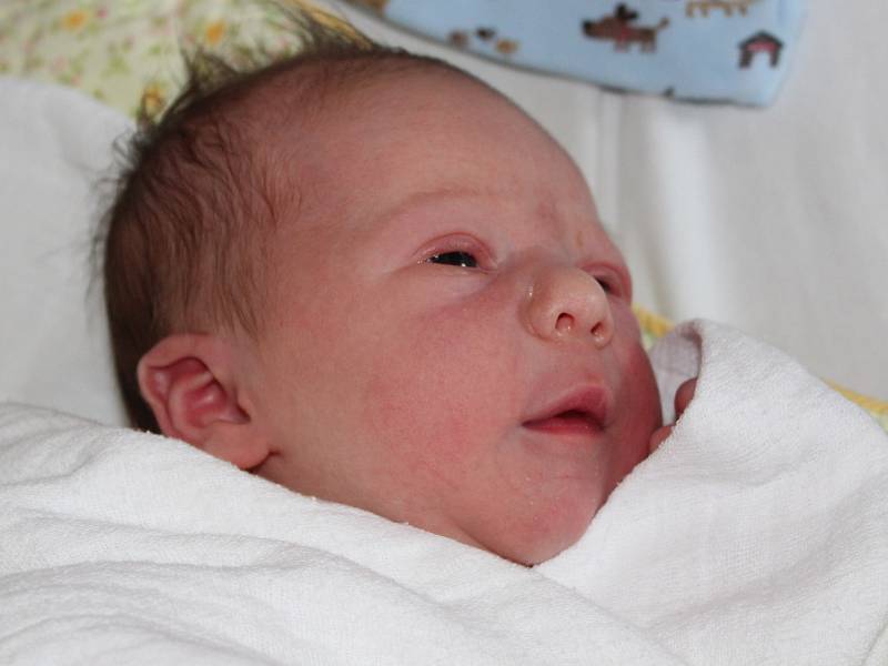 Lilien Polomisová z Ústalče (3000 g, 50 cm) se narodila v klatovské porodnici 24. srpna ve 22.26 hodin. Pro rodiče Libuši a Martina bylo pohlavní miminka překvapením. Doma na sestřičku již čekají Martin (9)  a Tobiáš (3,5).