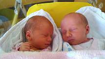 Tereza a Viktorie Valečkovy z Předslavi se narodily v klatovské porodnici 15. ledna a jsou tak prvními dvojčátky v letošním roce narozenými v Klatovech. První se narodila Terezka v 8.47 hodin (2230 g), Viktorka pak v 8.49 hodin (2590 g). Z holčiček mají r