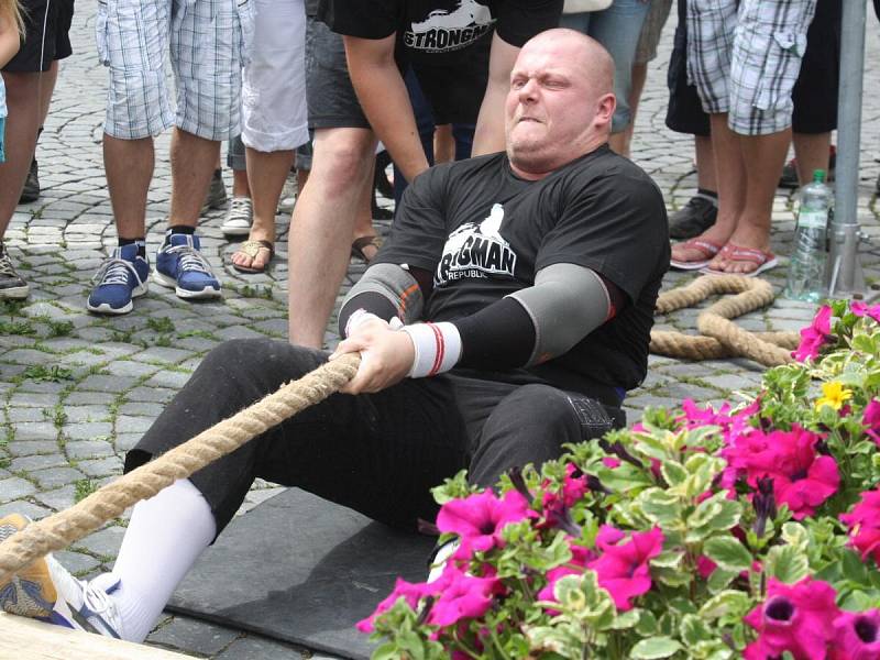 Strongman v Sušici 2014