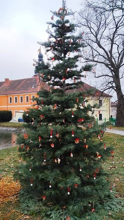 Vánoční strom v Chudenicích.