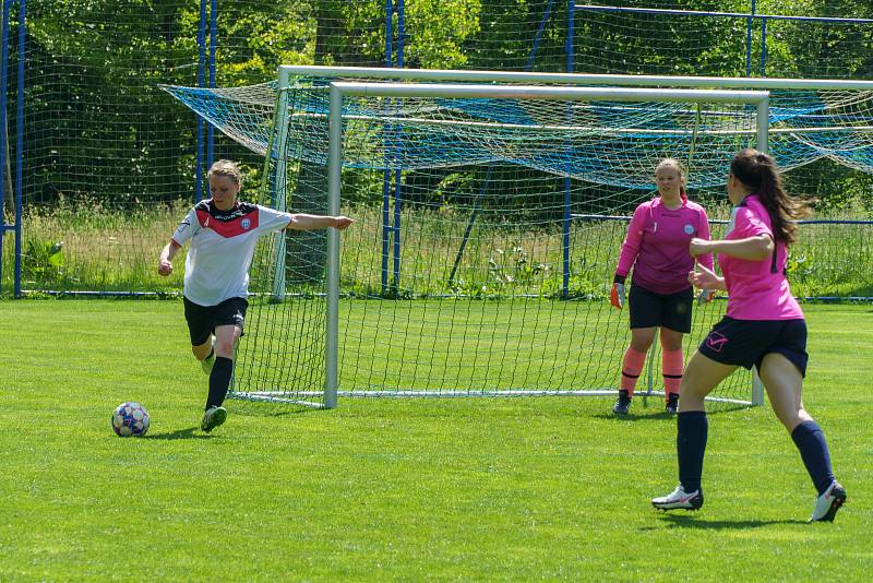 5. kolo DAFL, léto 2022: Kobra Stars Bolešiny - Devils Klášter (bílé dresy) 5:3.