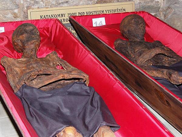 Stěhování mumií z klatovských katakomb