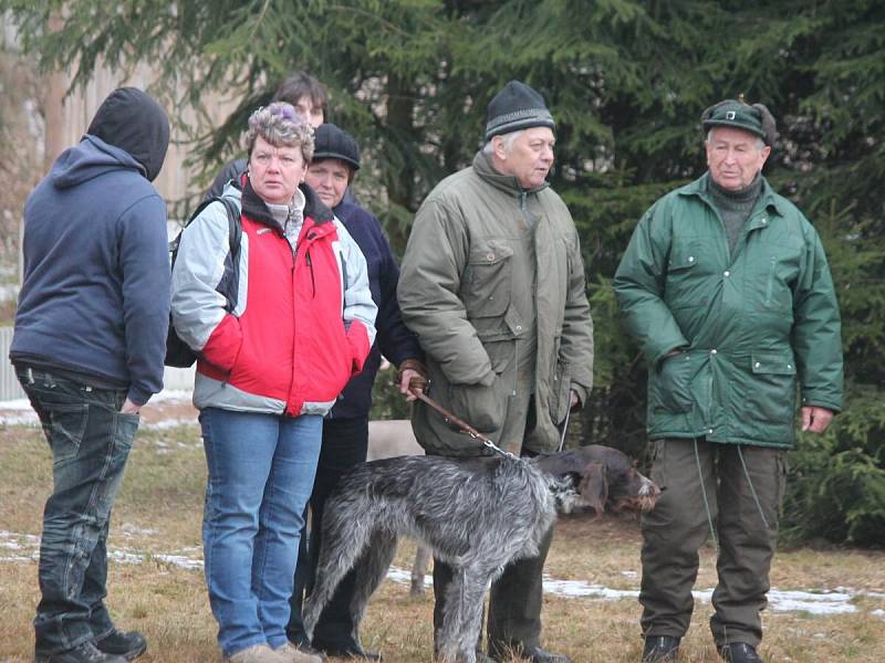 Jarní svod psů v Lubech