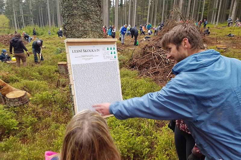 Sázení stromků s WeLoveŠumava.