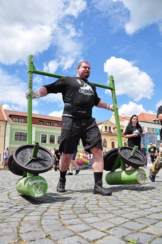 Strongman v Sušici 2014.