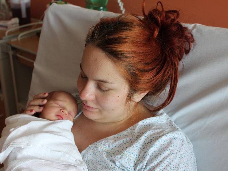 Elena Dryjová z Klatov (2880 g, 49 cm) se narodil v klatovské porodnici 22. října v 15.20 hodin.  Rodiče Silvia a Jan věděli předem, že se jim narodí holčička. 