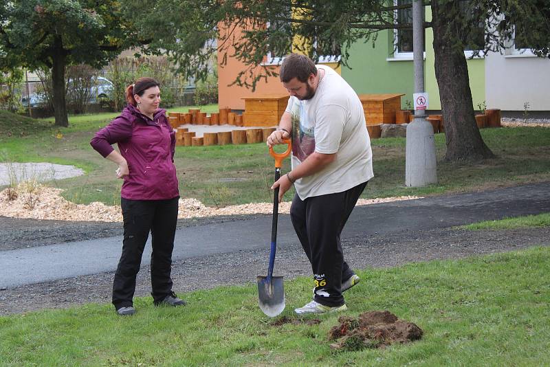 Úprava zahrady v MŠ Máchova v Klatovech.