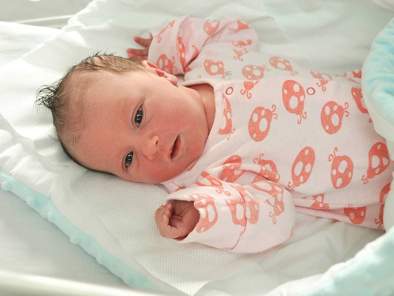 MARKÉTA PROKOPOVÁ ze Žichovic se narodil 19. října ve 23.51 hodin ve strakonické porodnici, (3820 g). Na holčičku se těšili rodiče Michaela a Lukáš a František (3,5).
