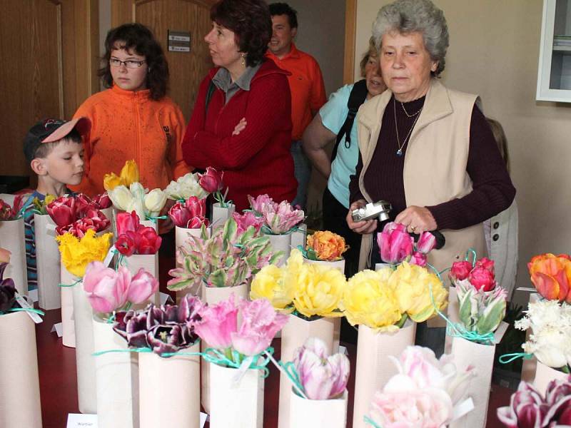 Výstava tulipánů Pavla Nováka v Dlažově