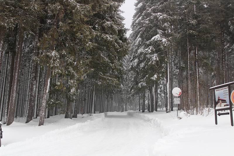 Pravá zima na Šumavě - Hojsova Stráž, Pancíř, Železná Ruda, Prášily, Srní, Modrava.