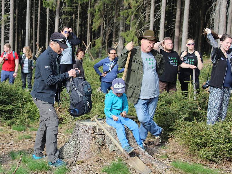 Sázení stromů s WeLoveŠumava.