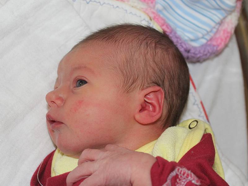 Julie Irlveková z Klatov (2600 g, 48 cm) uviděla světlo světa v klatovské porodnici 9. února ve 12.40 hodin. Rodiče Petra a Bronislav věděli, že jejich prvorozené miminko bude holčička.
