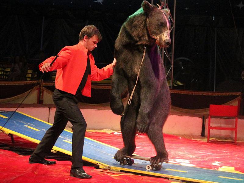 Cirkus Humberto v Klatovech.
