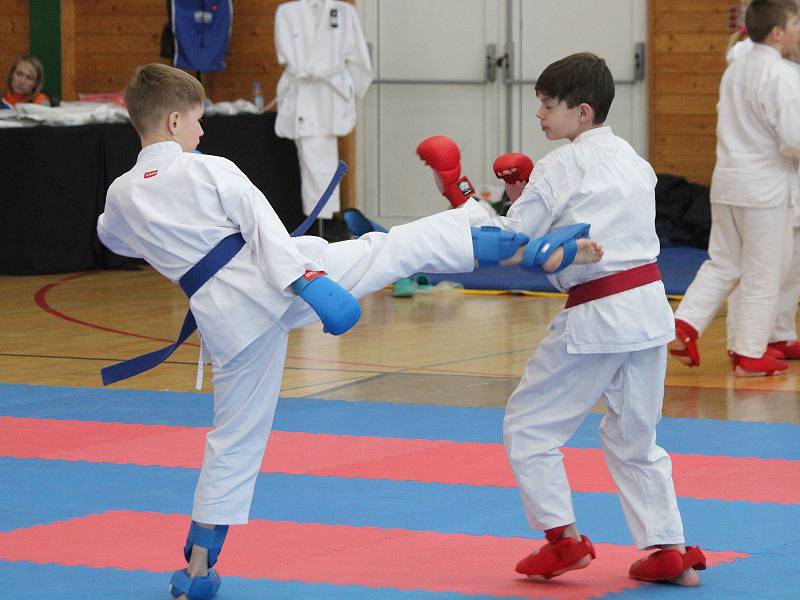 Krajská liga mládeže v karate v Klatovech.