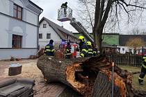 Zásah hasičů u padlého stromu v Beňovech.