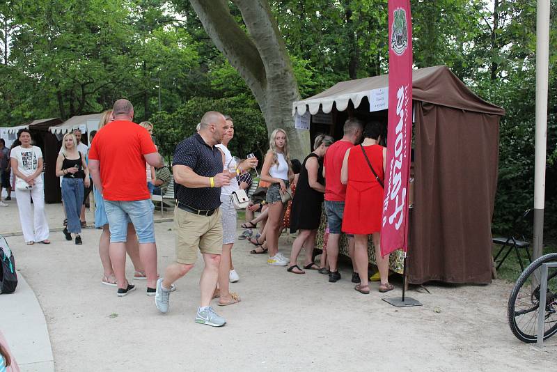 Klatovský festival vína 2021.