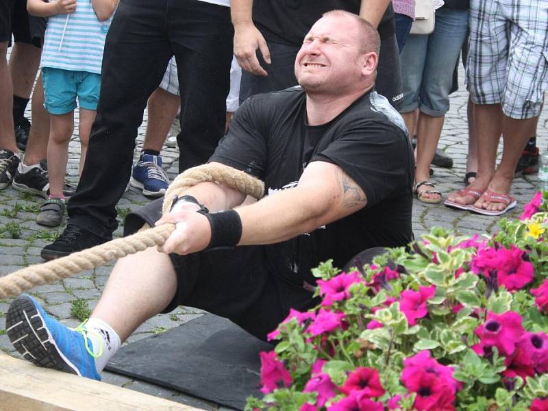 Strongman v Sušici 2014