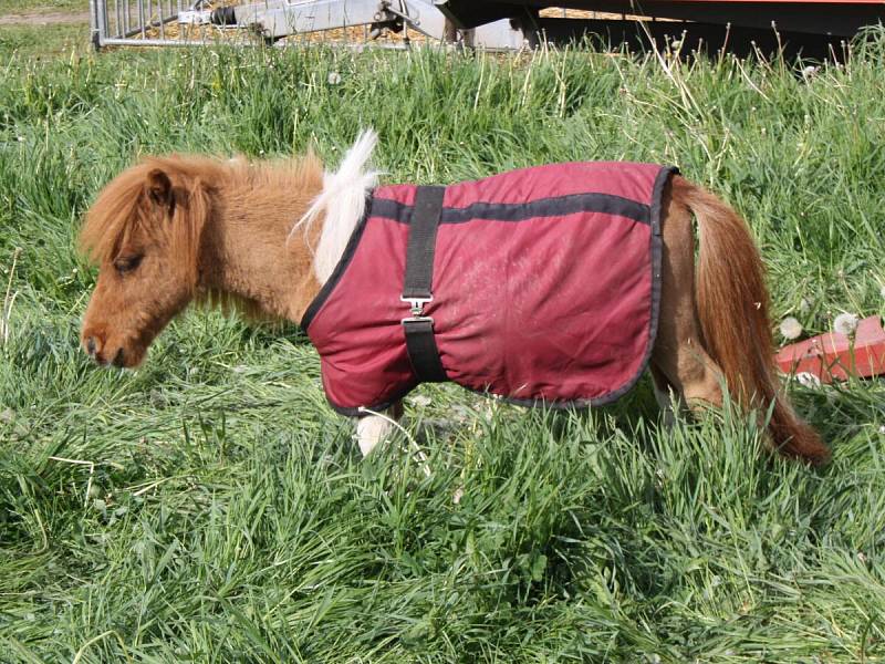 Národní cirkus originál Berousek přijel do Klatov