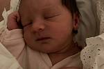 Dorothea Aneta Hladíková se narodila 26. října 2021 v 1:41 hodin mamince Janě Anastazii z Plzně. Po příchodu na svět ve FN Lochotín holčička vážila 3050 gramů a měřila 47 centimetrů.