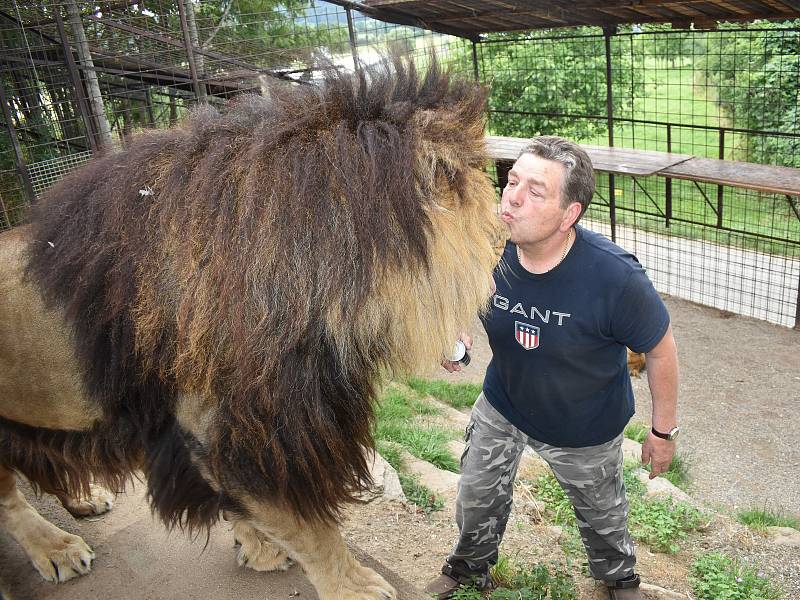 Chovatel šelem Miroslav Lenc se svými mazlíčky.