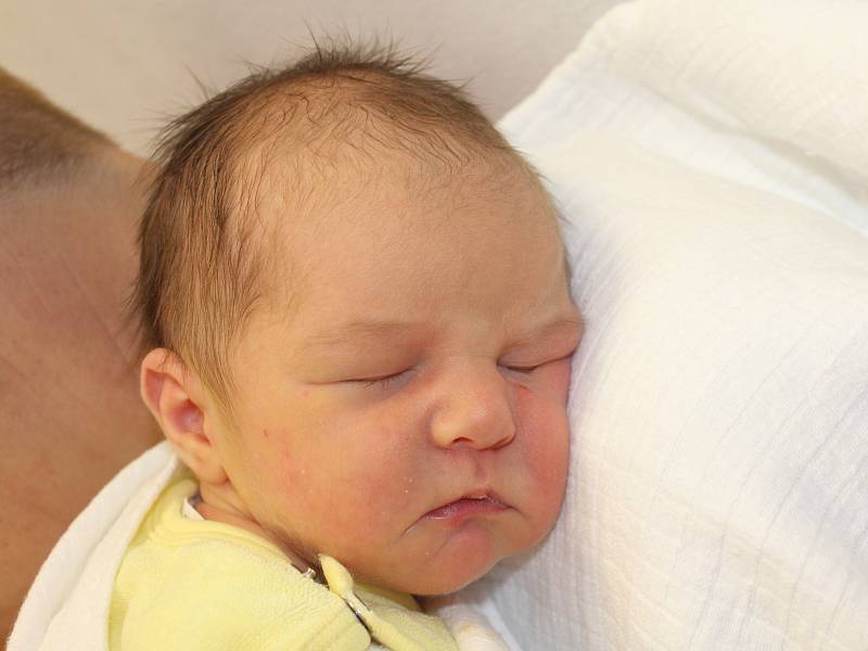 František HALML z Ledců (3730 g, 50 cm) se narodil v klatovské porodnici 4. listopadu v 8.12 hodin. Rodiče Kateřina a Robert přivítali svého syna na svět společně. Na brášku doma netrpělivě čeká Antonín (3).