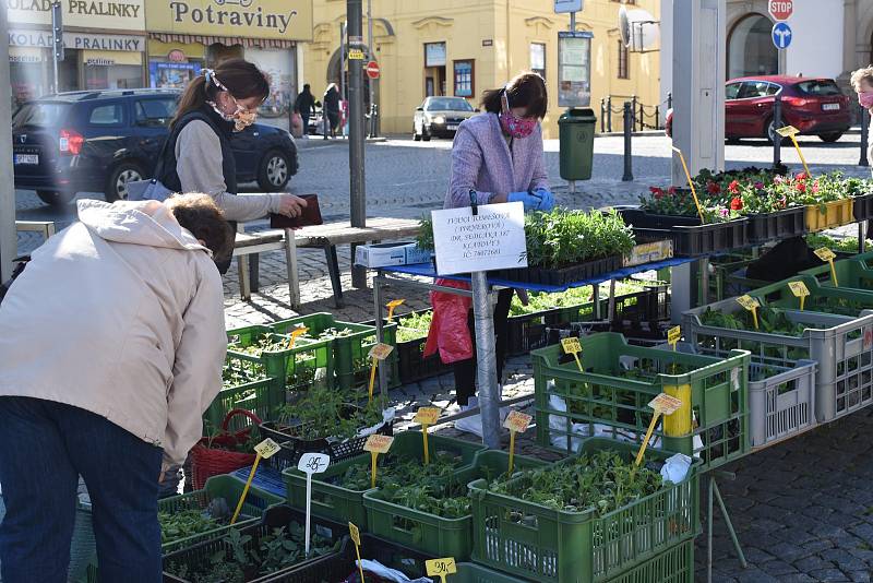 Farmářské trhy na klatovském náměstí lákaly, nakoupit si přišla řada zákazníků.