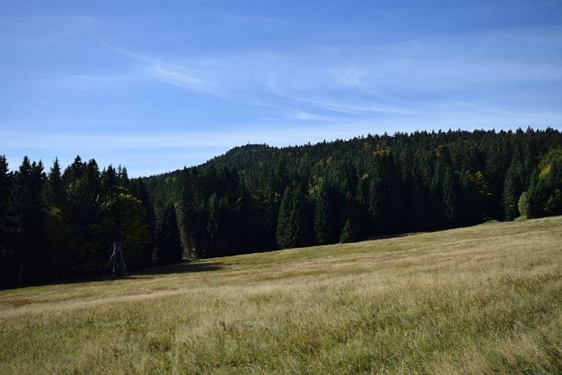 Podzimní šumavská procházka.