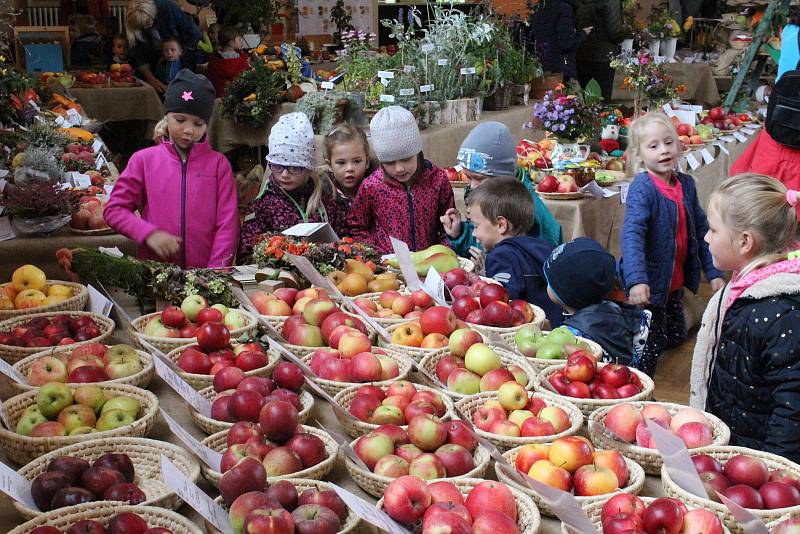 Zahrada Pošumaví 2018