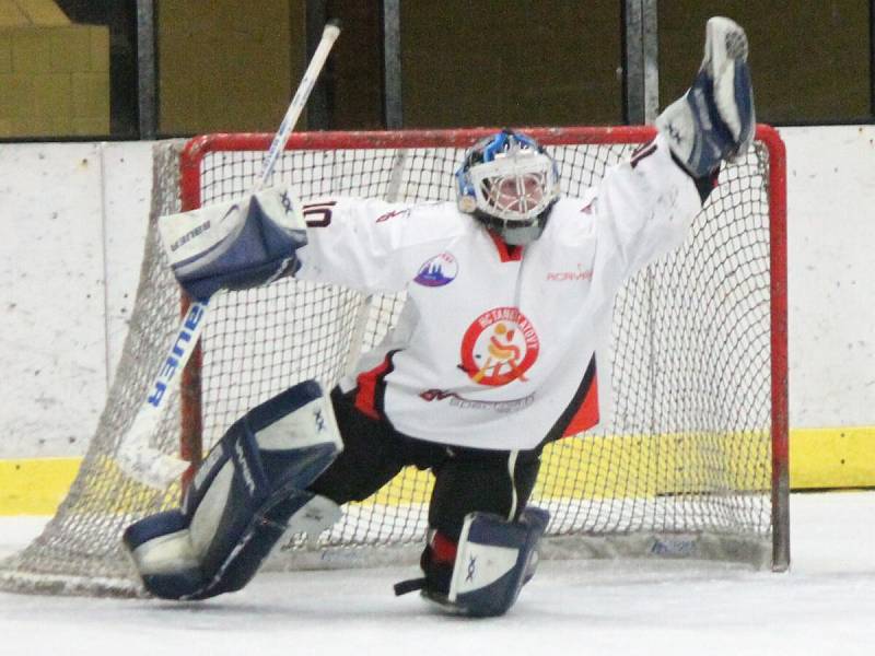 Šumavská liga amatérského hokeje: AHC Vačice (v oranžovém) - HC Tango 5:0.