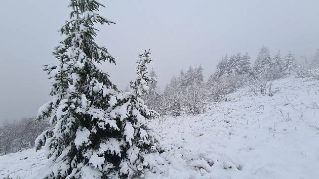 Sníh na Velkém Javoru na Šumavě.