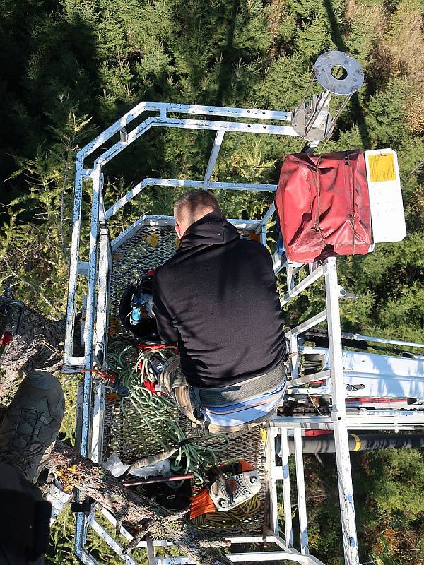 Instalace hnízda pro orly mořské v Kolinci na Klatovsku.