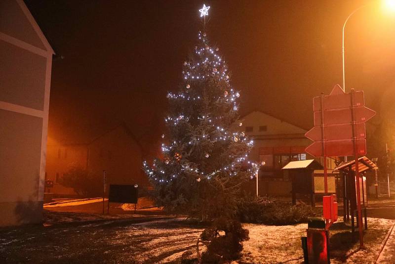 Vánoční strom v Hartmanicích.