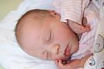 Tereza Bradová z Červeného Poříčí (3890 g, 50 cm) se narodila v klatovské porodnici 25. ledna ve 12.48 hodin. Rodiče Martina a Petr věděli dopředu, že Petřík (1,5) bude mít sestřičku.