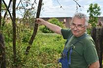 Petr Mironěnko ukazuje stromy, které v Červeném Poříčí zahubila zatím neznámá látka.
