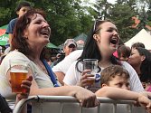 Pivní slavnosti v Klatovech 2016 34