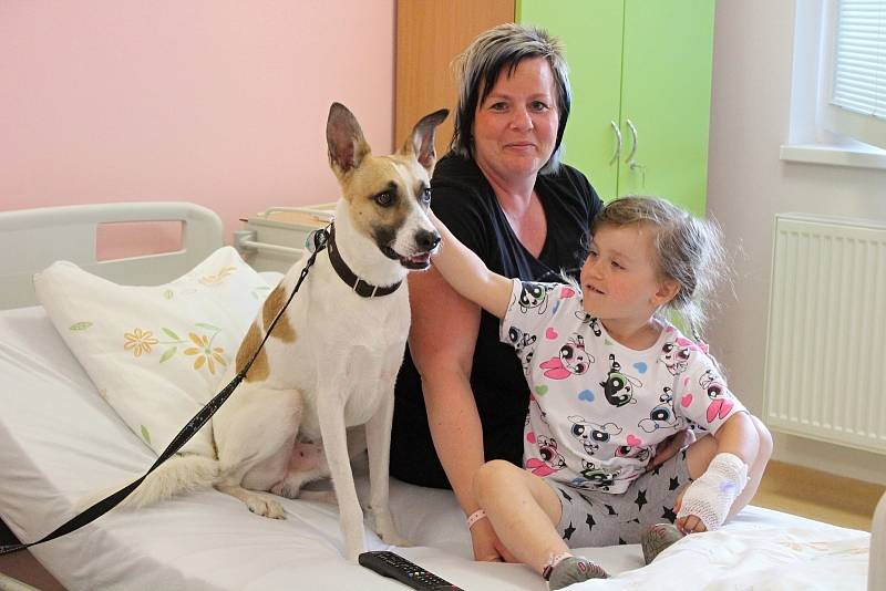 Pes Gump a Filip Rožek v klatovské nemocnici.