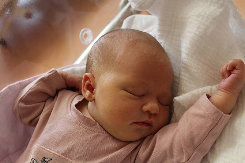 Justýna Linhartová z Hrádku u Sušice se narodila v klatovské porodnici 20. června ve 2:58 hodin (50 cm, 3990 g). Rodiče Martina a Tomáš věděli dopředu, že Julince (3) přivezou domů malou sestřičku.