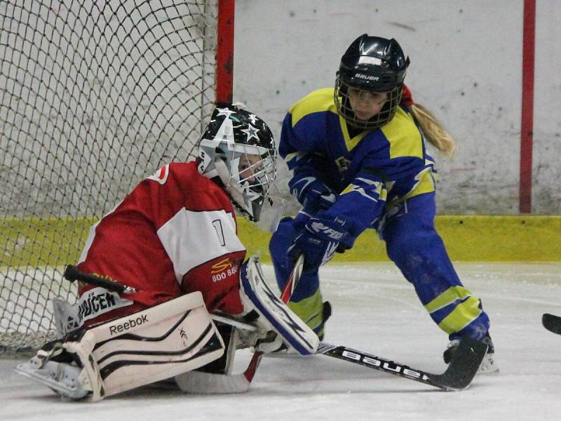 Minihokej 3. třídy: HC Klatovy (červené dresy) - HC Meteor Třemošná 14:24