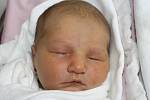 Daniela Vejšická z Plas (3160 g, 50 cm) se narodila v klatovské porodnici 12. ledna ve 14.24 hodin. Rodiče Klára a Zbyněk věděli dopředu, že jejich prvorozené miminko bude holčička.