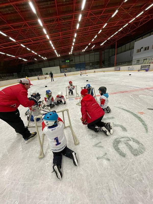 Týden hokeje (HC Vlci Sušice), 22. listopadu 2022.