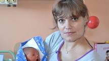 Michael Krehula se narodil 27. ledna 2013 mamince Vlastě a tatínkovi Janovi z Kolína. Po porodu se pyšnil výškou 52 centimetry a váhou 3780 gramů. Dětským světem ho provede jedenapůlletý Daniel.