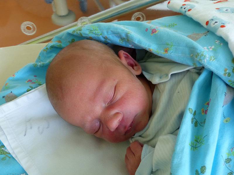 Ondřej Netolický se narodil 26. srpna 2019 v Kolíně. Vážil 3420 g a měřil  50 cm. V Kutné Hoře bude vyrůstat s maminkou Michaelou a tatínkem Martinem.