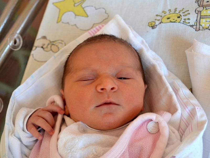 Tereza Volfová poprvé zakřičela 28. ledna 2013. Po narození měřila 49 centimetrů a vážila 3130 gramů. V Poděbradech se z ní radují maminka Nikola, tatínek Ctirad a čtrnáctiletá Bára.