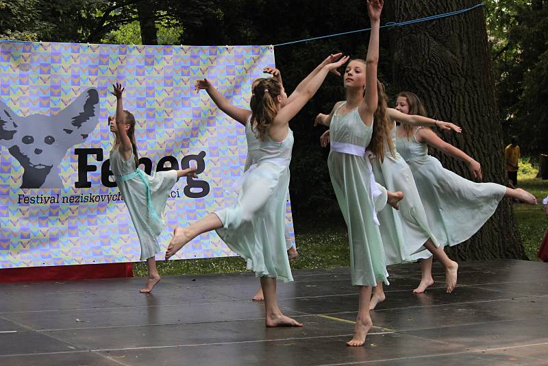 V sobotu se u pivovarského rybníka v Českém Brodě konal festival neziskových organizací.