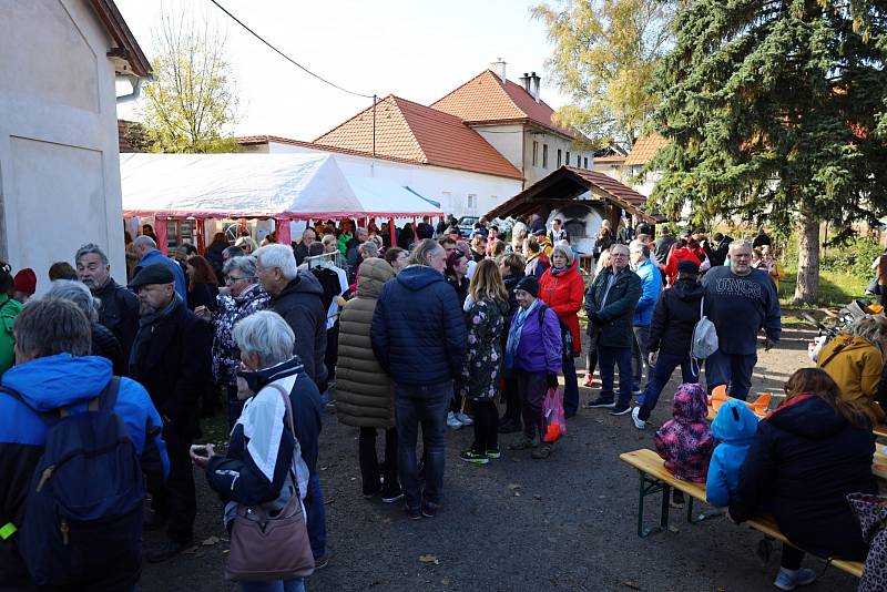 Z pečení chleba ve Štolmíři 23. října 2021.