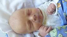 Dominik Flegr se narodil 20. dubna 2021 v kolínské porodnici, vážil 2895 g a měřil 47 cm. Ve Zruči nad Sázavou bude vyrůstat s maminkou Monikou a tatínkem Petrem.