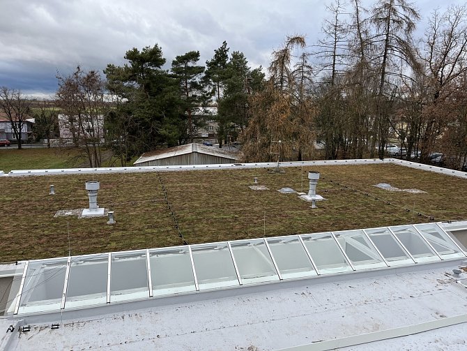 Zelené biotopní střechy na nemocničních pavilonech E a F v Českém Brodě