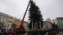 Na Karlovo náměstí v Kolíně dorazil vánoční strom.
