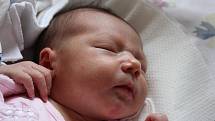 K osmnáctileté Gabriele přibyla do rodiny Jany a Davida Benadíkových z Kolína dcera Alexandra. Narodila se 27. února 2010, vážila 3700 gramů a měřila 52 centimetrů.